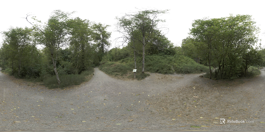 Outdoor Woods Trails HDR texture