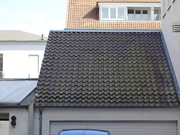 Roof texture (ID:ffaeg45863)