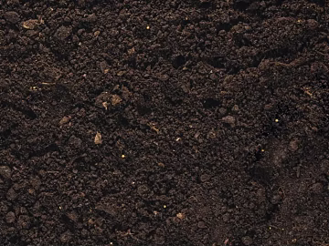 Land, soil, grassland, mud, earth texture (ID:ffaeh339604)