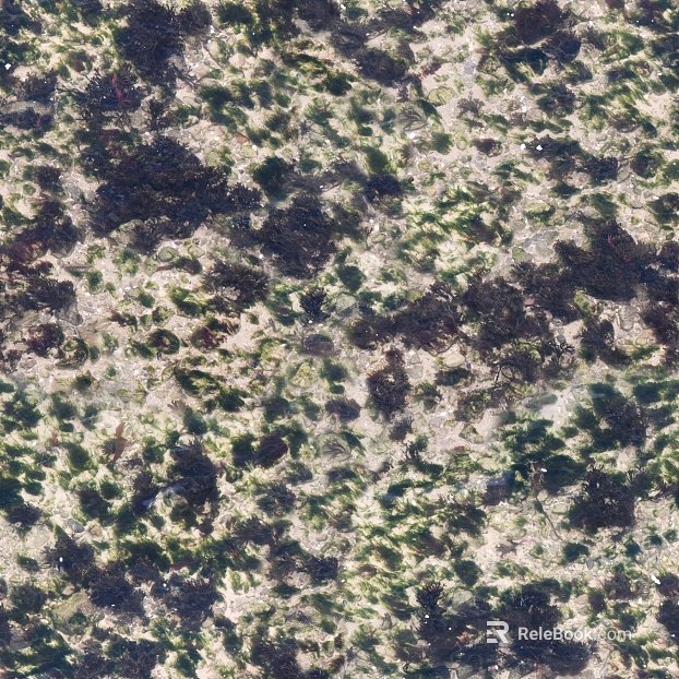 moss texture