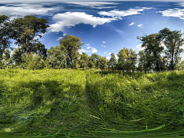 Outdoor Forest Blue Sky White Clouds Daytime HDR texture (ID:ffach127806)