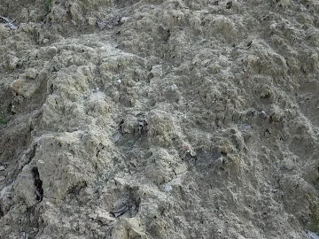 Sediment texture (ID:ffaeg60773)