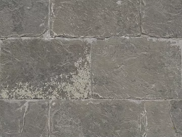 Stone Paving 3d model