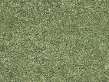 Turf texture (ID:ffabg45715)