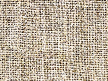 Coarse carpet 3d model