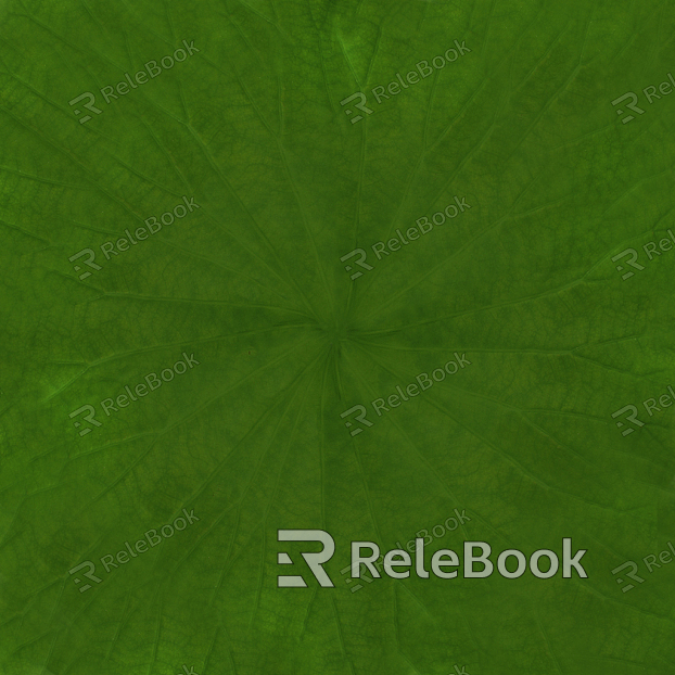 leaves texture