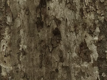 bark texture (ID:ffabg30990)