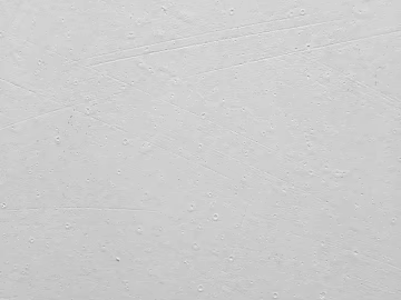 Mud texture (ID:ffaaf1254)