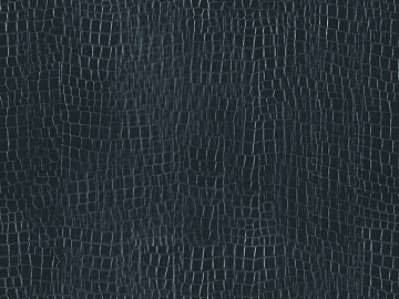 Coarse-grain leather texture (ID:ffagg18436)