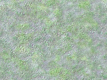 Grassland texture (ID:ffaeg20103)