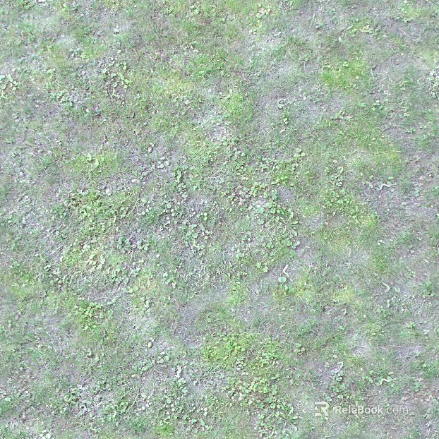 Grassland texture