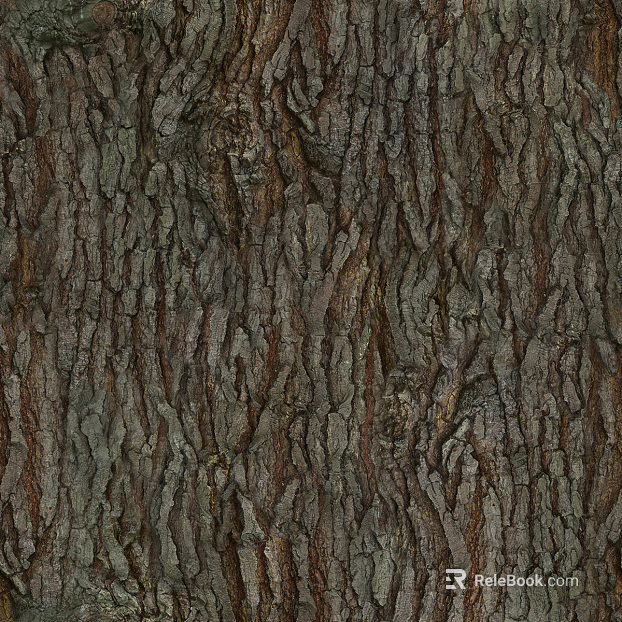 bark texture