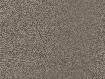 Leather Leather Leather Leather Textured Leather Animal Leather texture (ID:ffach694274)