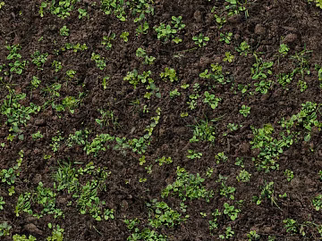 Mud texture (ID:ffach867718)