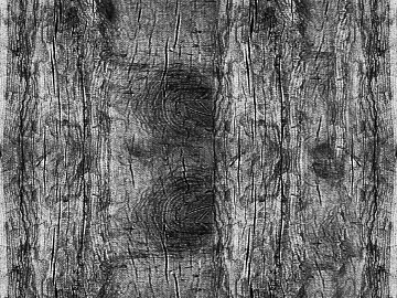 Black and White Bump texture (ID:ffaaf5690)