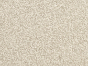 fine grain leather texture (ID:ffabg24004)