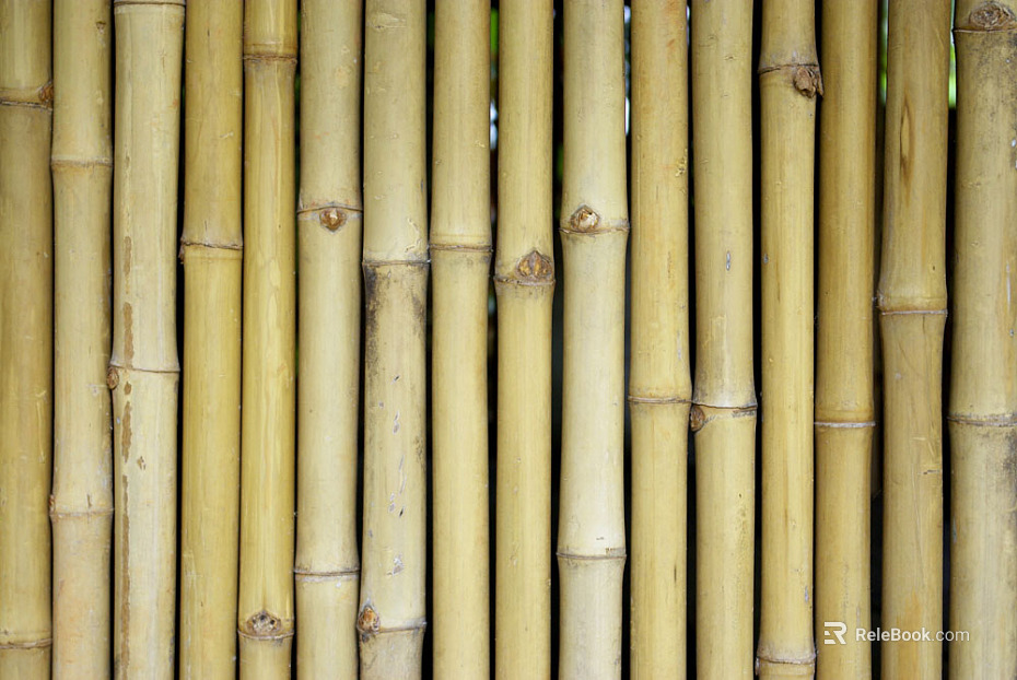 Bamboo texture