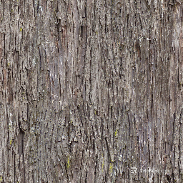 ancient tree bark texture