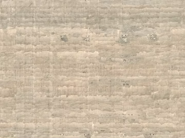 Plain pattern carpet 3d model