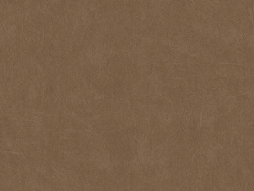 fine grain leather texture (ID:ffagg26441)