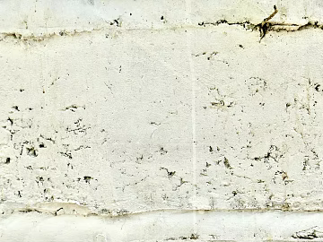 Mud texture (ID:ffaeg25988)