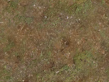 Ground texture (ID:ffaag98796)
