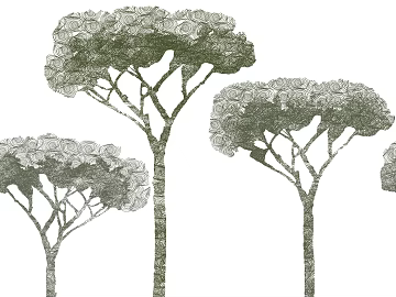 plant pattern texture (ID:ffajf1224)