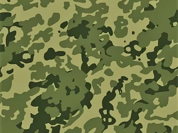 Military Green Camouflage Fabric Decorative Fabric texture (ID:ffaeh479189)
