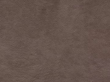 Coarse-grain leather 3d model