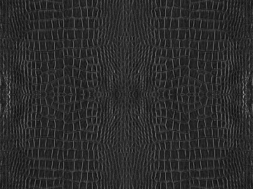 Coarse-grain leather texture (ID:ffabg97556)