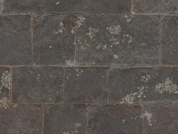 Stone Paving texture (ID:ffach088931)