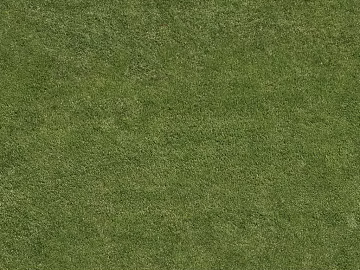 Turf texture (ID:ffaaf3900)