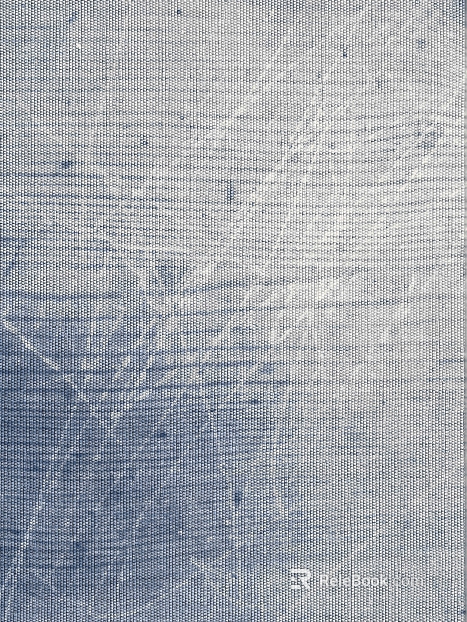Plain pattern carpet texture
