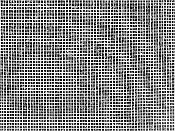 Black and White Bump 3d model