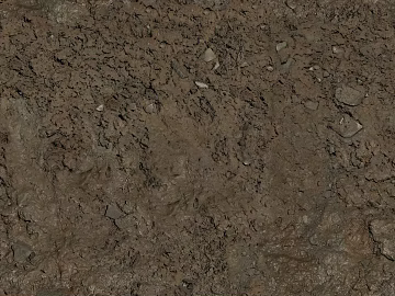 Mud 3d model
