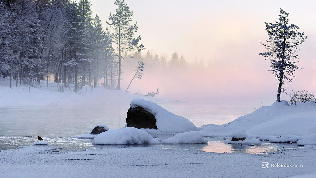Snow texture