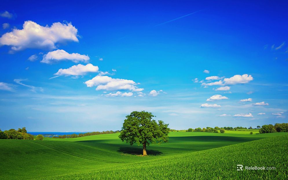 Wild Scenery texture