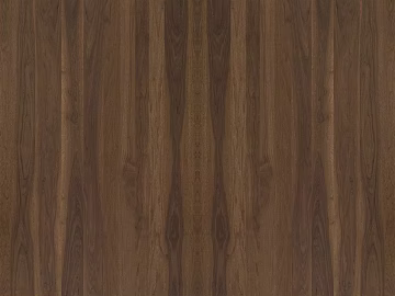 Wood grain North American black walnut log 3d model