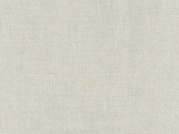 plain cloth 3d model