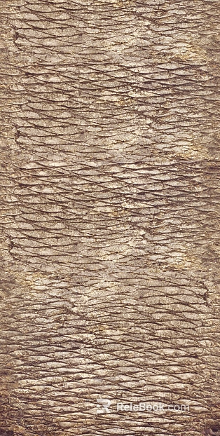 bark texture