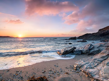 Wild Scenery texture (ID:ffagg87870)