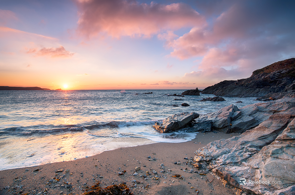 Wild Scenery texture