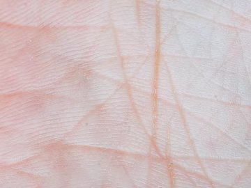 Palmprint texture (ID:ffagg60953)