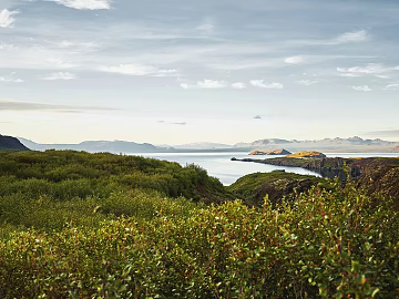 Wild Scenery texture (ID:ffabg26265)