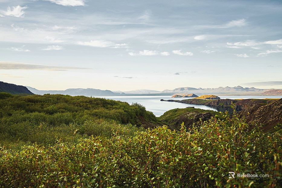 Wild Scenery texture