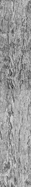Gray rock wall decoration stone texture