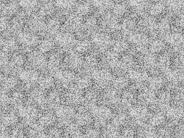 Highlight Mask texture (ID:ffaif7072)