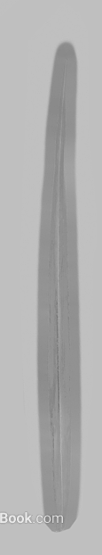 Silver gray long black and white bump map texture