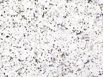 granite litchi surface white hemp stone brick texture (ID:ffacg39042)