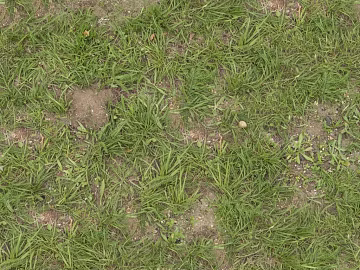 Turf texture (ID:ffabg88095)